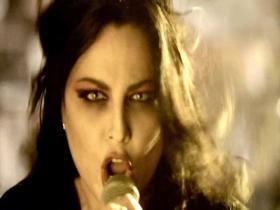 Evanescence What You Want